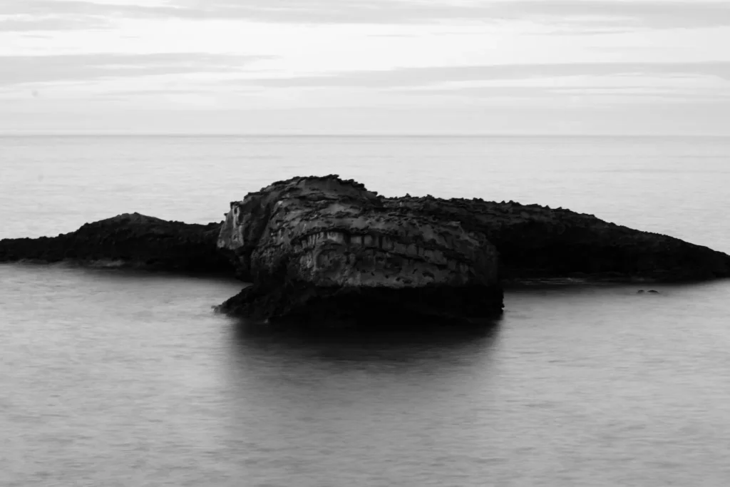 black and white 11