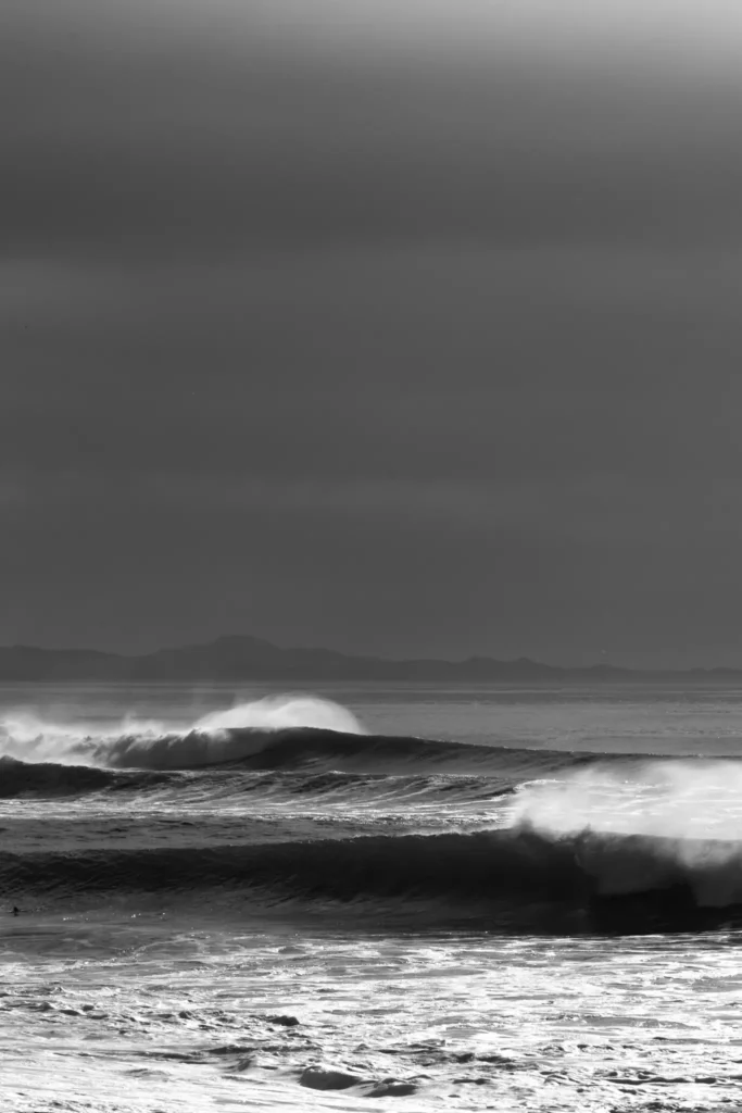 black and white 6