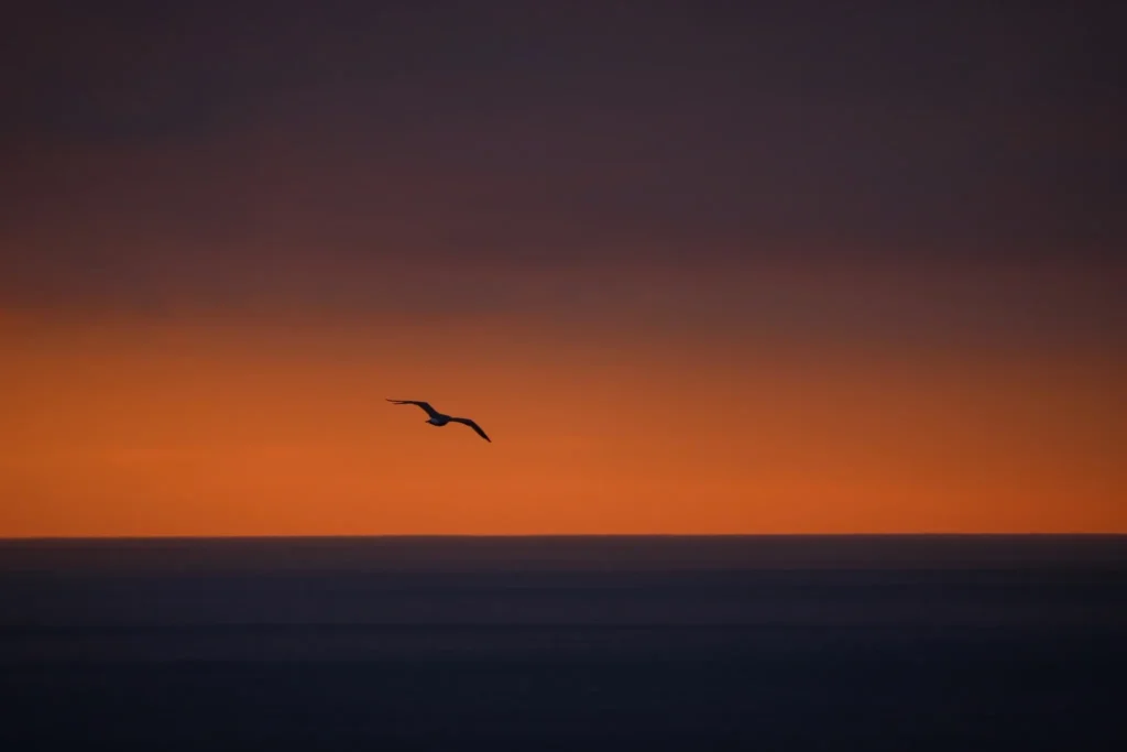 sunset 3 1024x683