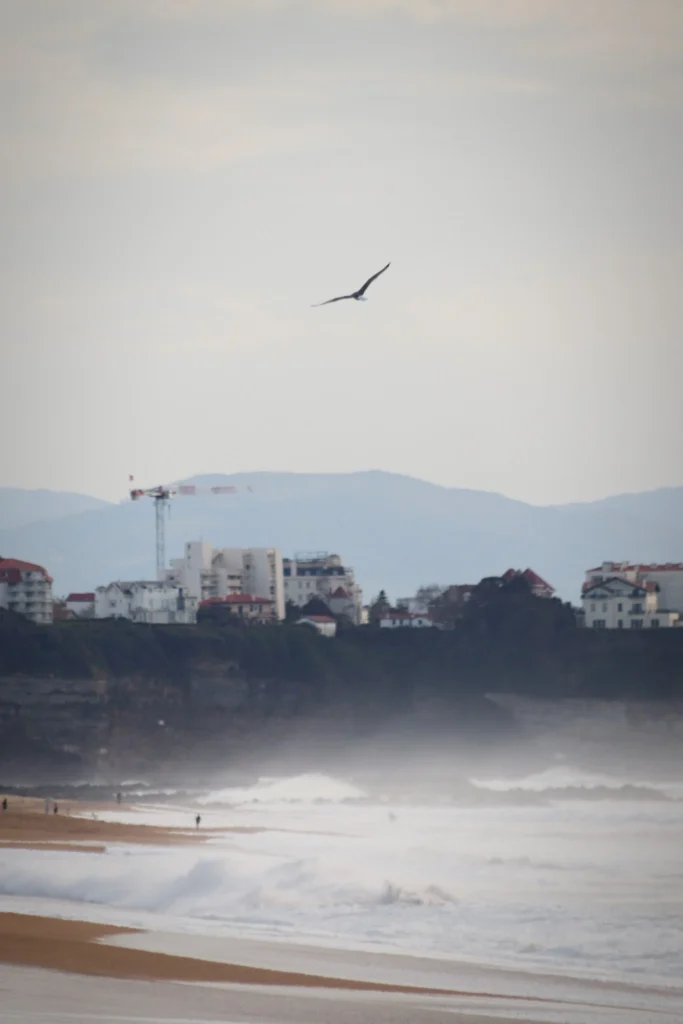 vagues 4